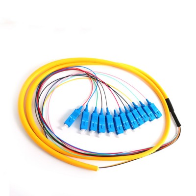 Manufacture/ Factory Price 12 Cores Sc/Upc Connector Sm Fiber Optic 12 Bunchy Pigtail